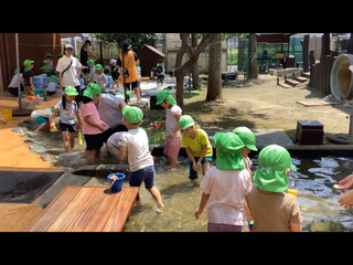 IMG_1311.PNG