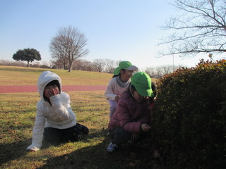 IMG_6245.JPG