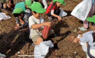 C23E7E28E515A072ADB6A3F255E25A841C6D105B (002).png