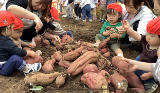 F861529891FD37B1C5097302DCAA393276EBB214 (002).png