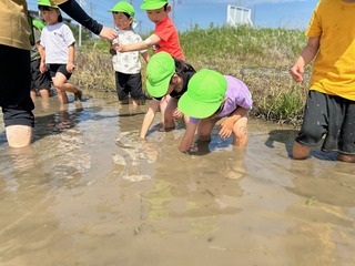 IMG_6022.jpg
