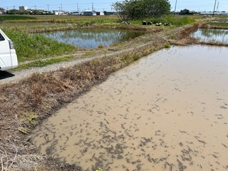 IMG_6026.jpg